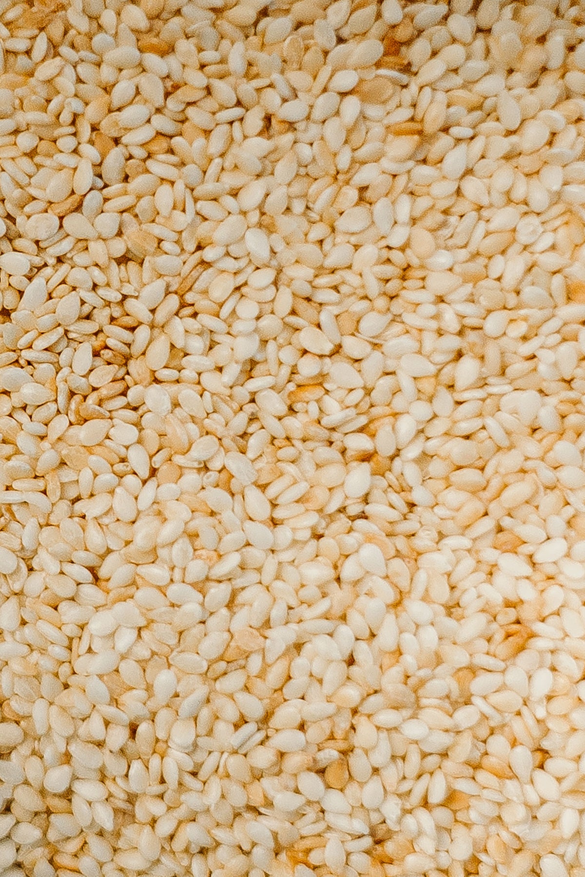 Sesamöl
