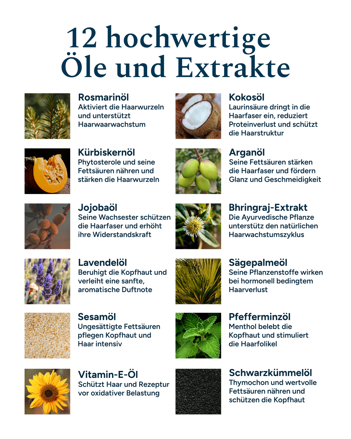 Pflege Haaröl - Wurzelkraft & Kopfhautkur